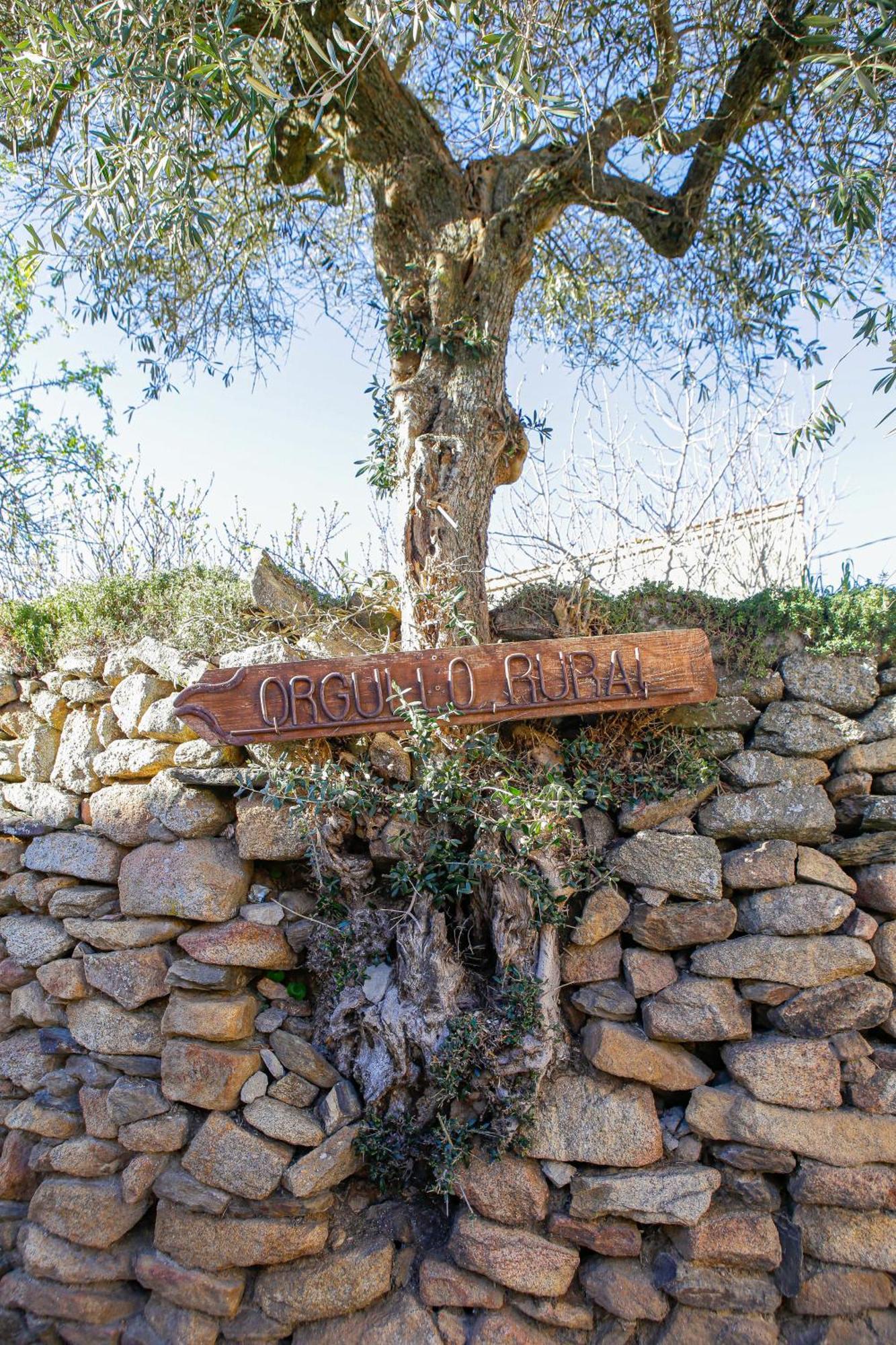 Casa Rural Therma Agreste Bermellar エクステリア 写真